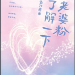 好看的娱乐圈宠文微盘,星光璀璨下的爱情盛宴