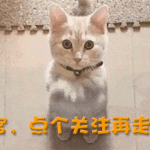 假吃别装了！姚晨《以美之名》吃枣演员们看了都脸红明星吃戏
