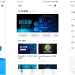 软件开发公司,解析中国软件开发公司现状与未来趋势