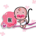 2012年属什么生肖,腾飞之年的辉煌与挑战