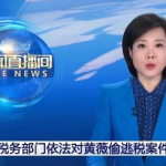 啊薇新闻娱乐,聚焦热点，畅享娱乐盛宴