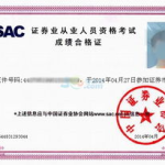 证券从业人员资格考试成绩查询,快速获取您的考试成绩